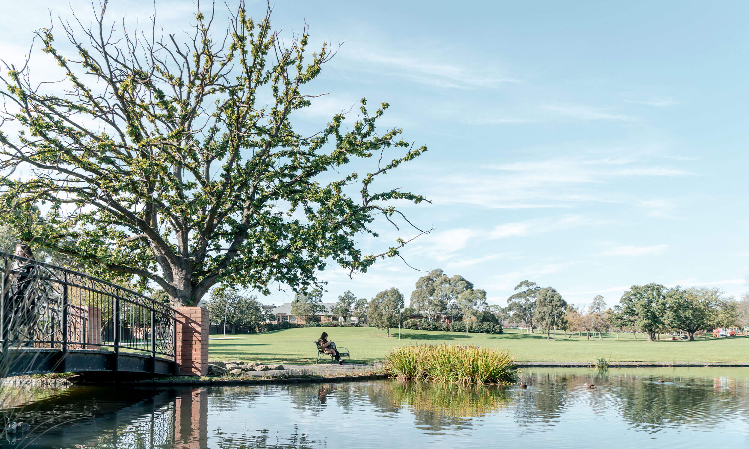 The Times, Box Hill Platform